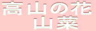 R̉ԁER