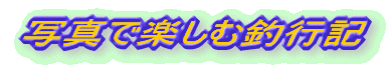 ʐ^ŊyޒލsL
